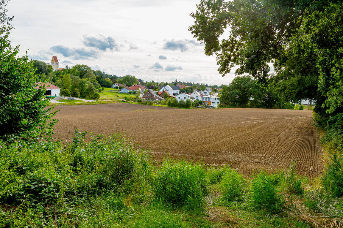 Image: _JA 40827 Kirche, Hohenried Nordost, Katze.jpg